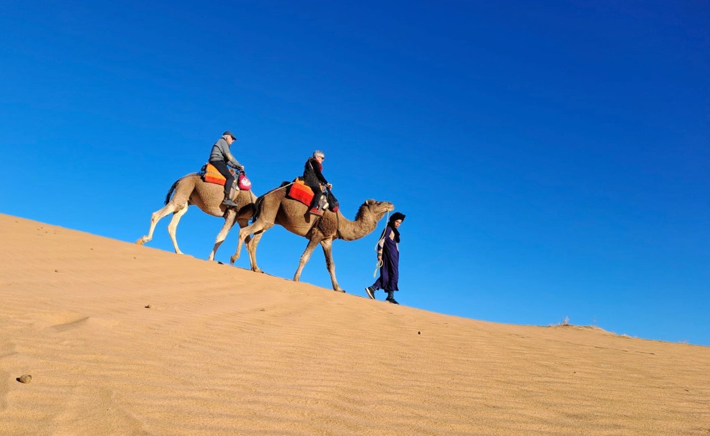 Riding camels in the Sahara